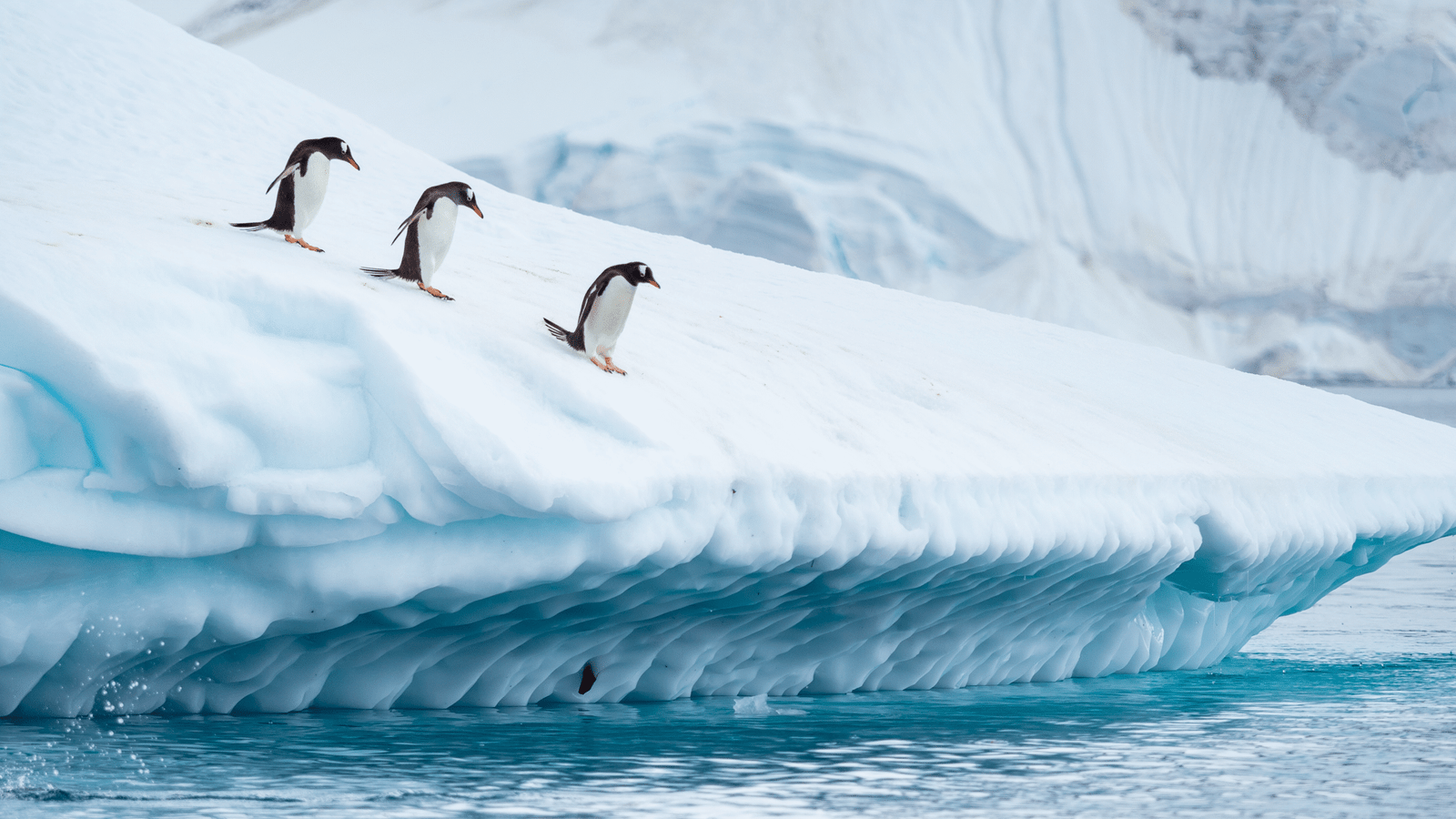 Antarctica’s Secrets: A Sanctuary for Earth’s Future